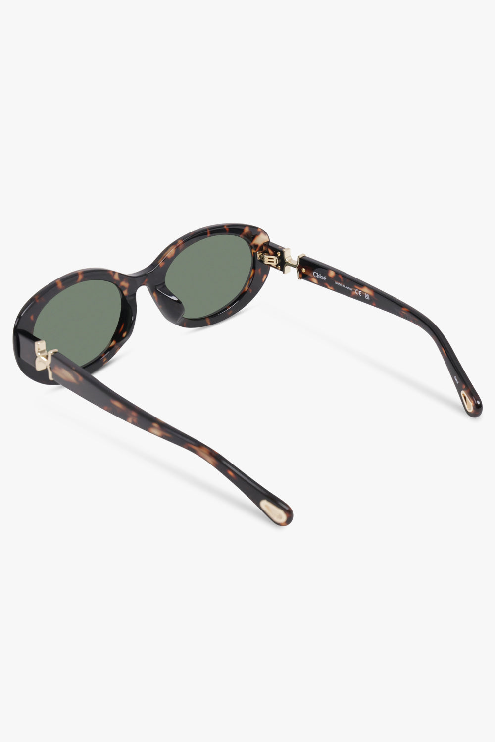 CHLOE Accessories Brown / HAVANA-HAVANA-GREEN CH0323SK Oval Sunglasses | Havana/Green