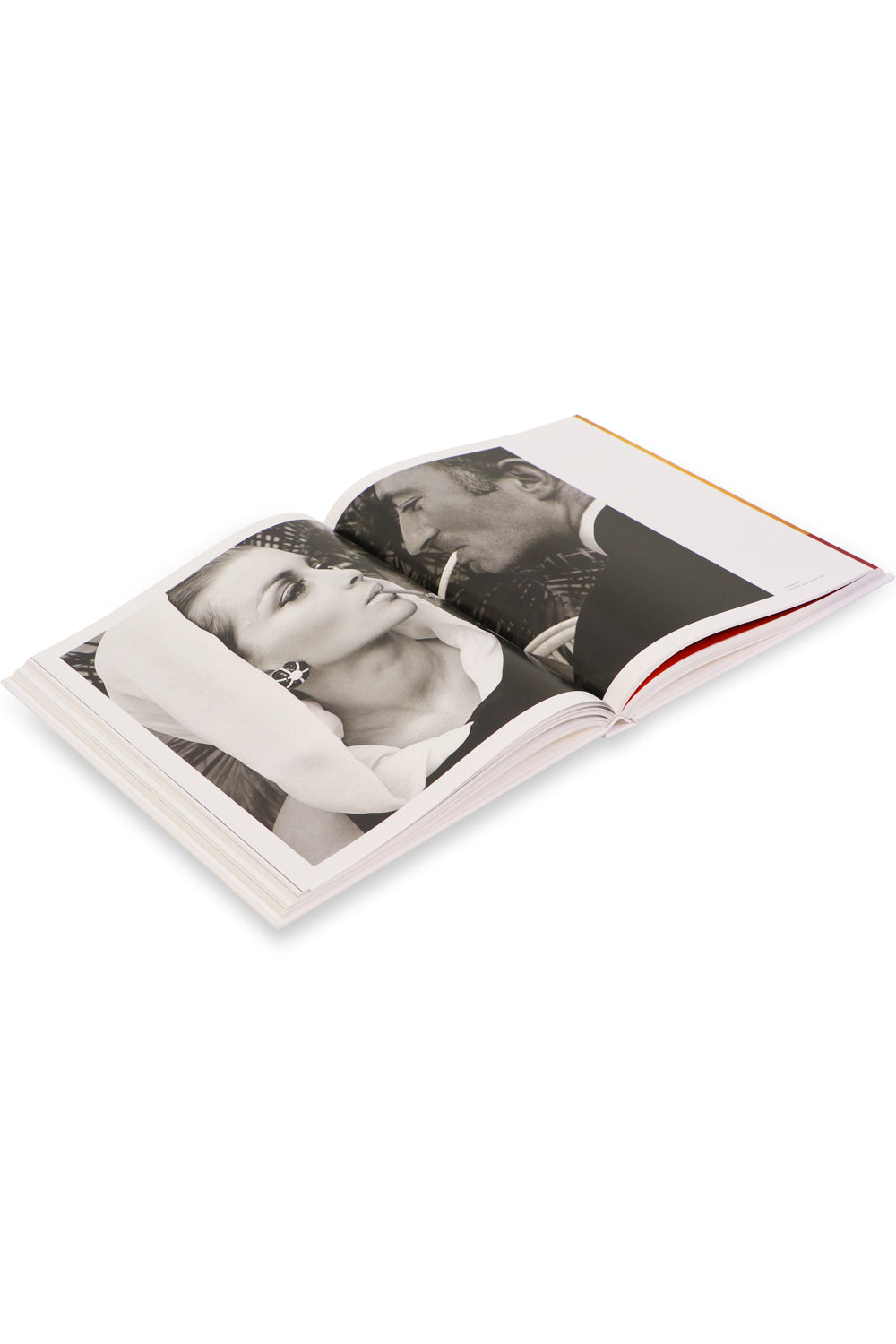 ALLIANCE - BOOKS LIFESTYLE FASHION PHOTOGRAPHY