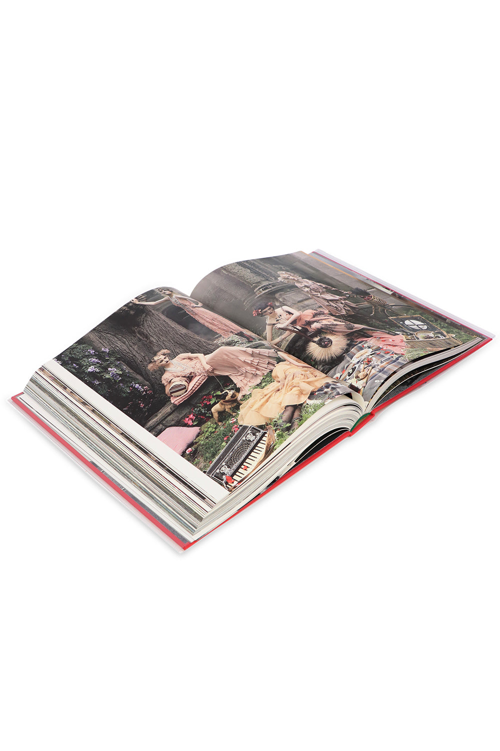 PHAIDON LIFESTYLE GRACE: THE AMERICAN VOGUE YEARS