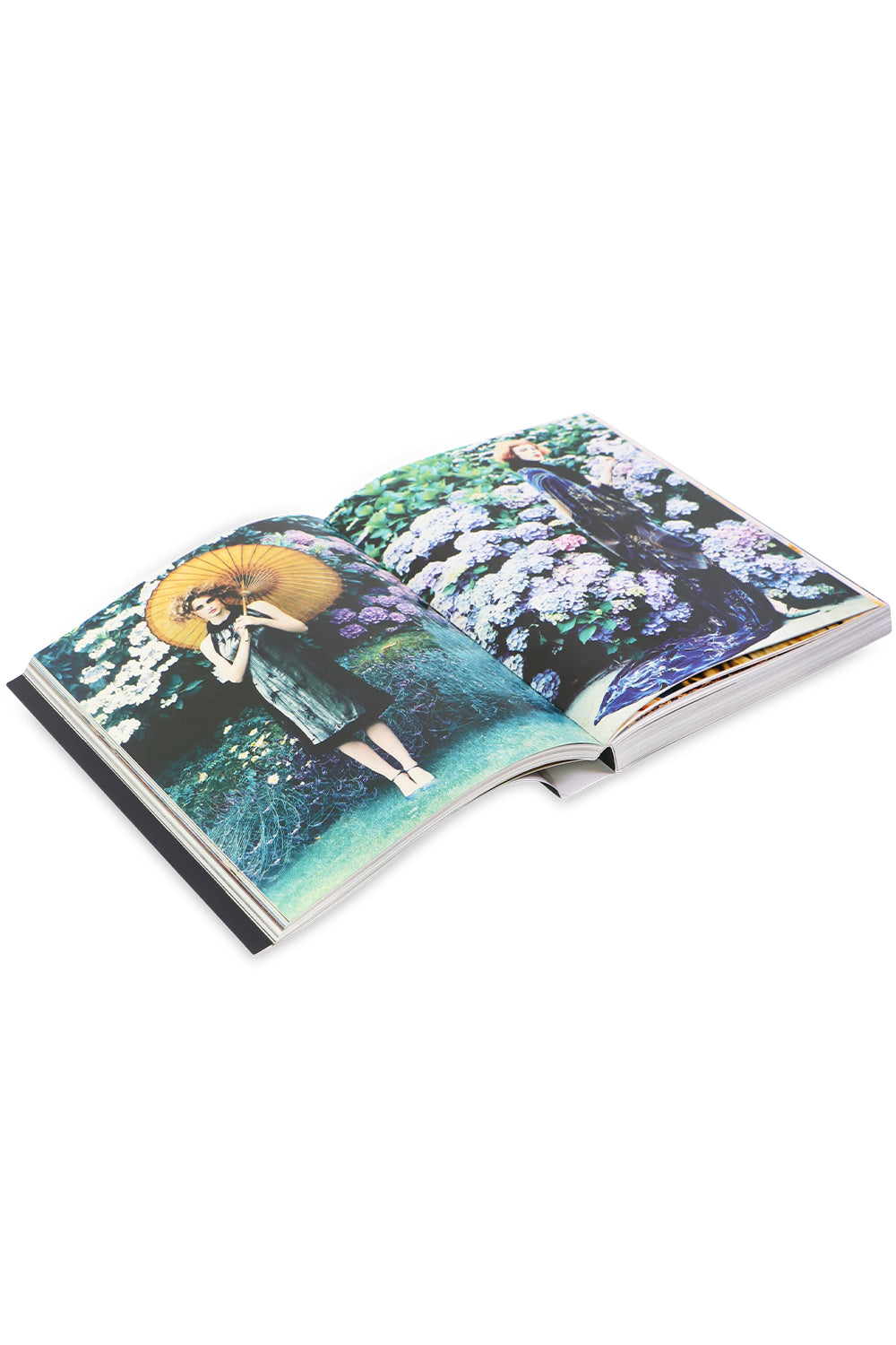PHAIDON LIFESTYLE GRACE: THIRTY YEARS OF FASHION AT VOGUE