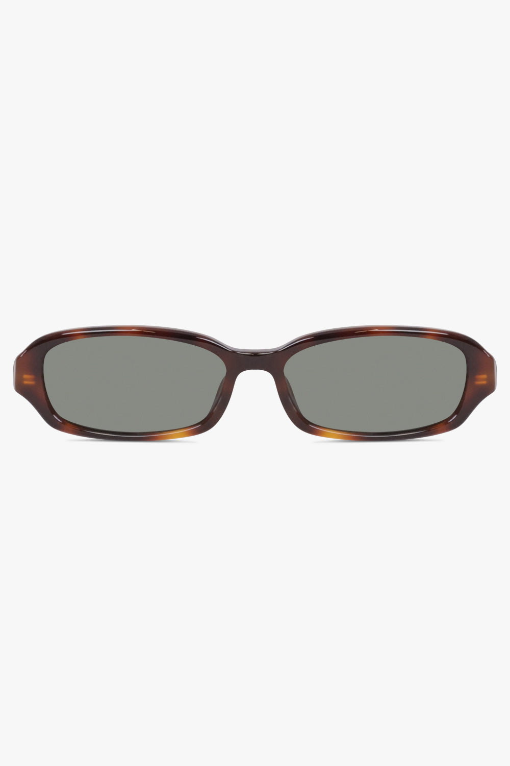 SAINT LAURENT SUNGLASSES BROWN / Havana/Black SL 872 Erin Sunglasses | Havana/Black
