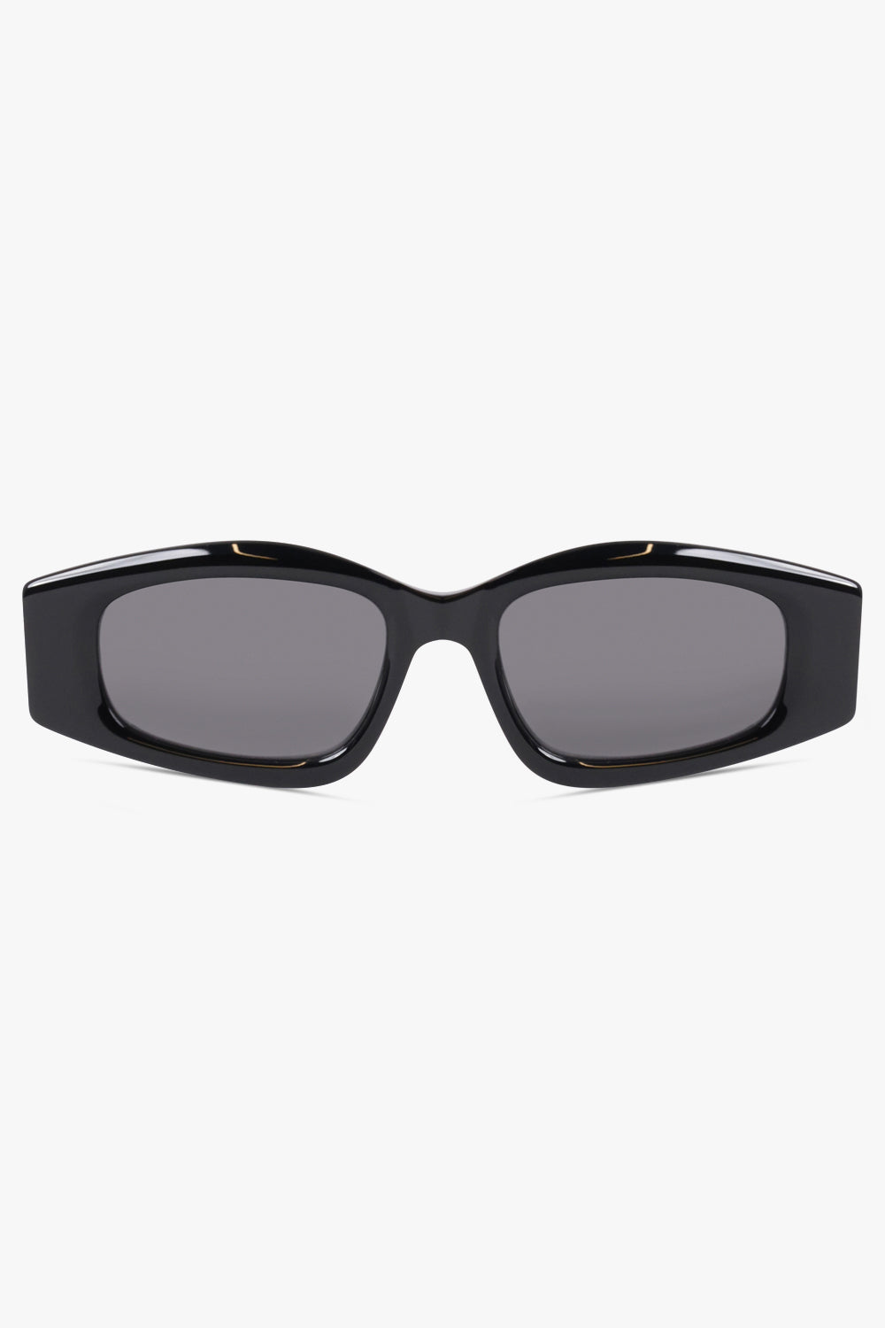 ALAIA SUNGLASSES BLACK / Black AA0079S Elongated Oval Sunglasses | Black